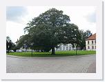 IMG_0057 * 3648 x 2736 * (2.21MB)