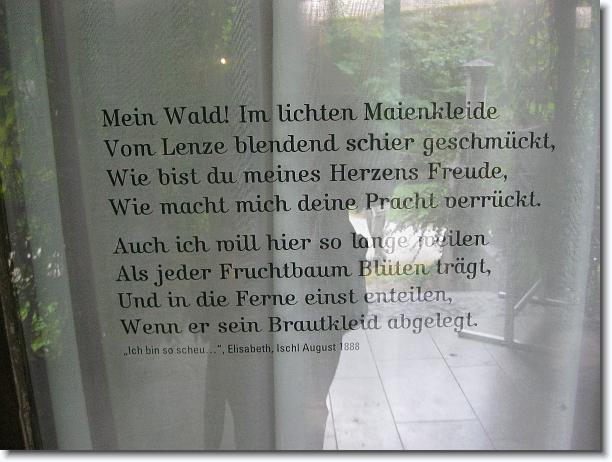 Nächstes Bild