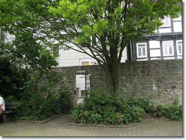 Nächstes Bild