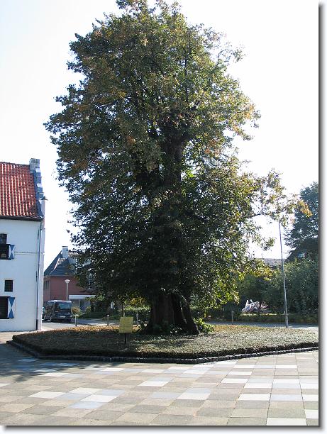Nächstes Bild