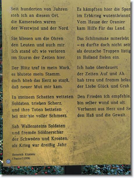 Nächstes Bild
