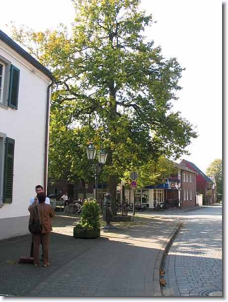 Nächstes Bild