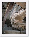 IMG_5358 * 2592 x 1944 * (1.48MB)