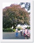 IMG_5390 * 2592 x 1944 * (2.54MB)